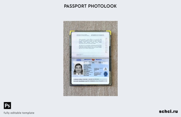 цифровая загрузка шаблона фотоизображения для паспорта Монголии